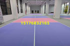 秦皇岛市匹克球地胶
